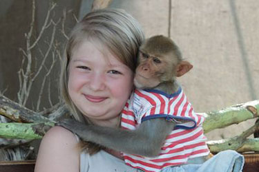 Развлекательный комплекс Олимп, Кабардинка, Геленджик